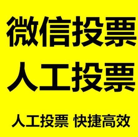 滨州市投票活动拉票能被查出来吗？如何操作能不被发现？